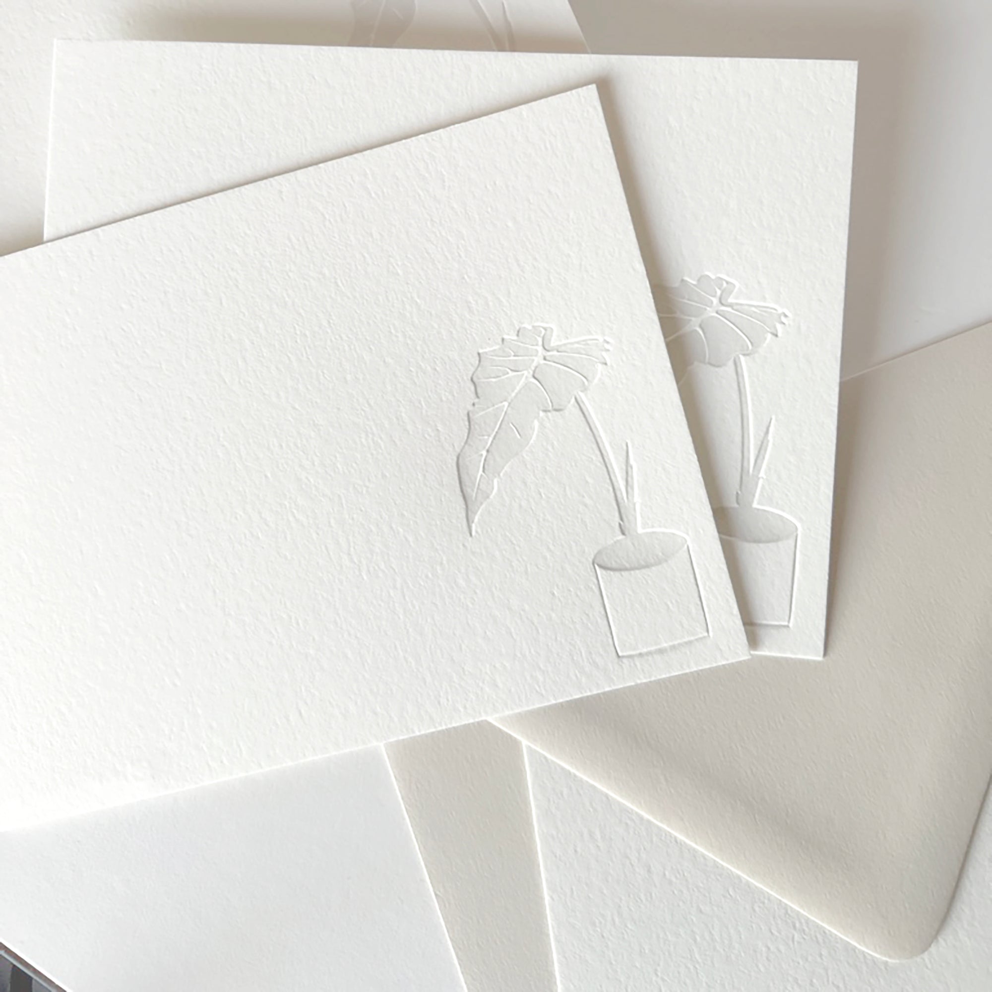 alocasia plant stationery
plant stationery
houseplant stationery
stationery for plant lovers