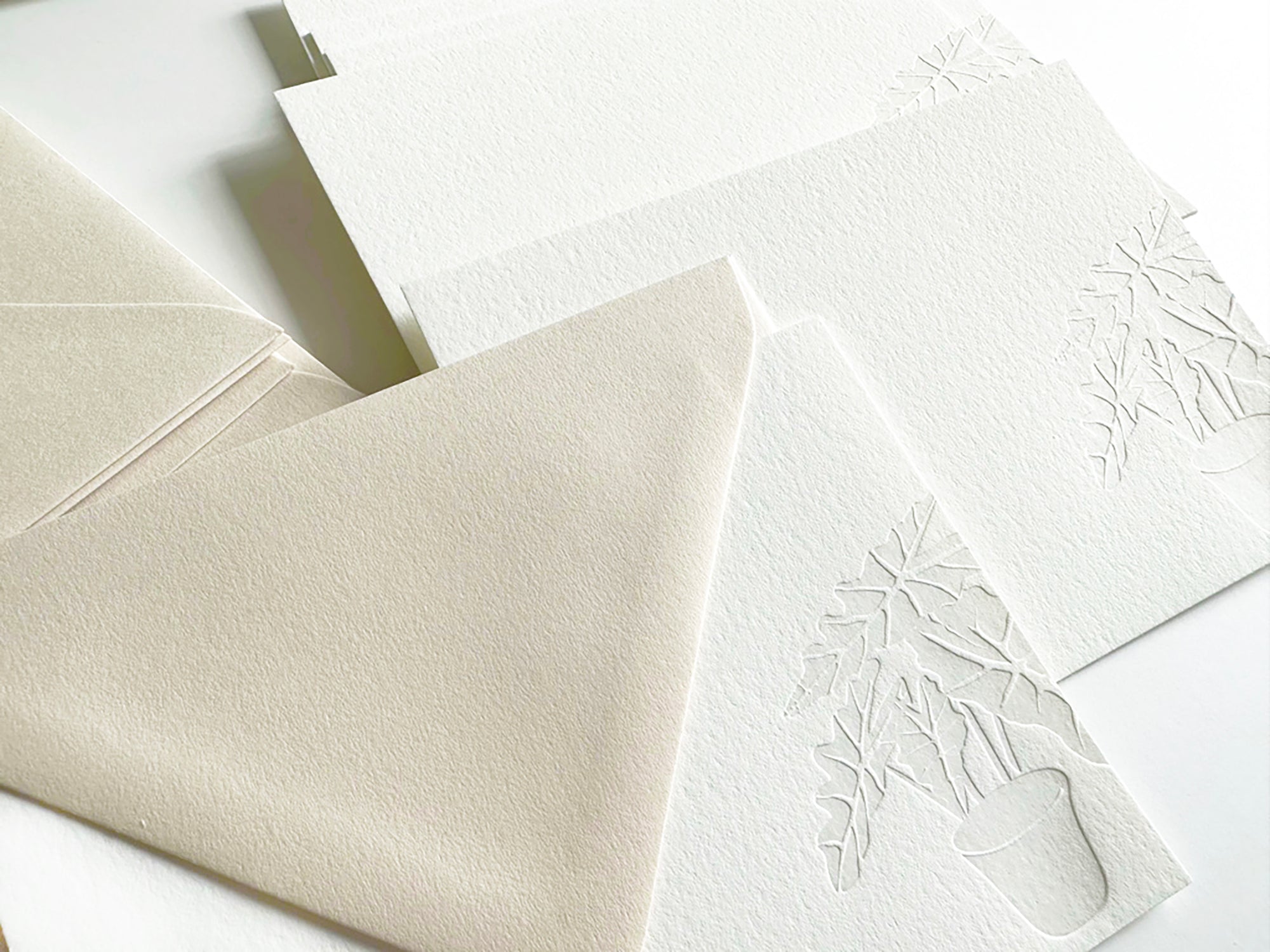 alocasia plant stationery

boxed set of stationery with alocasia plant design

letterpress note cards with alocasia plant design