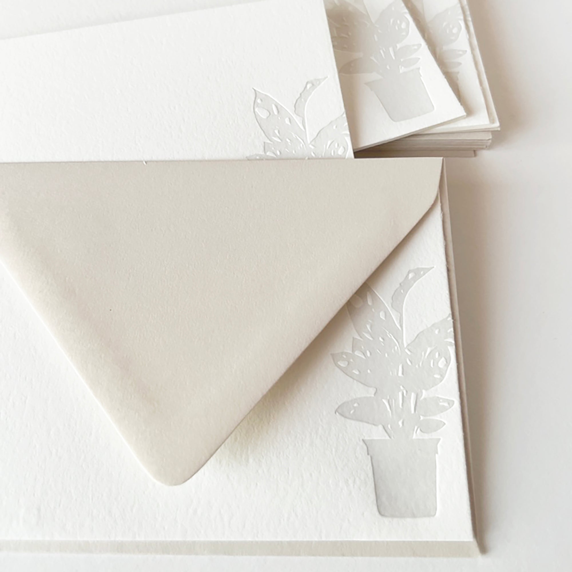 plant note cards

swiss cheese plant stationery

boxed set of stationery with swiss cheese plant design

letterpress note cards with swiss cheese plant design