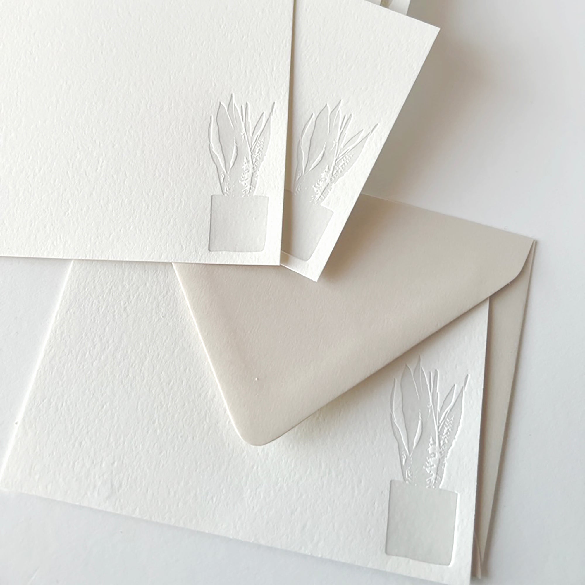 snake plant stationery

boxed set of stationery with snake plant design

letterpress note cards with snake plant design